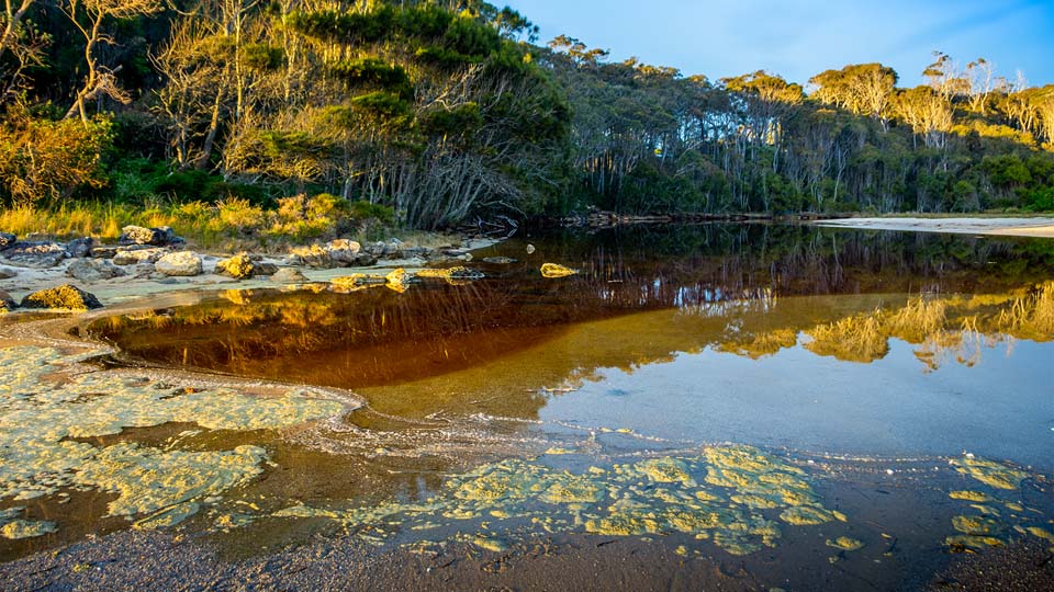 Willinga Point