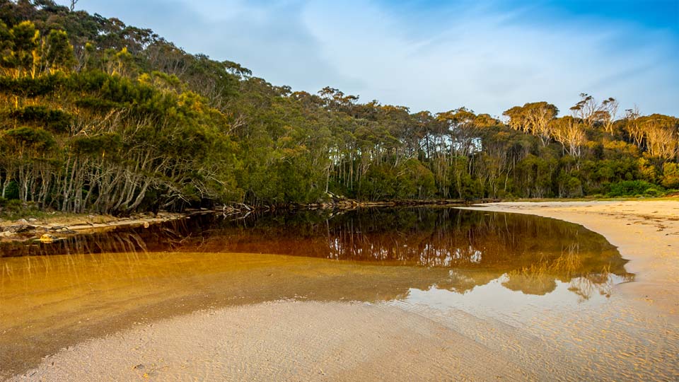 Willinga Point