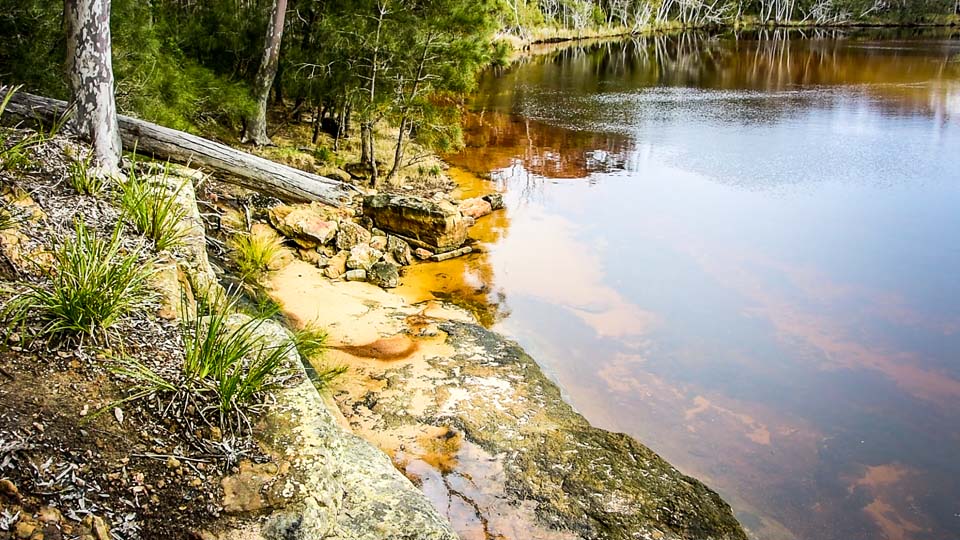 Willinga Point