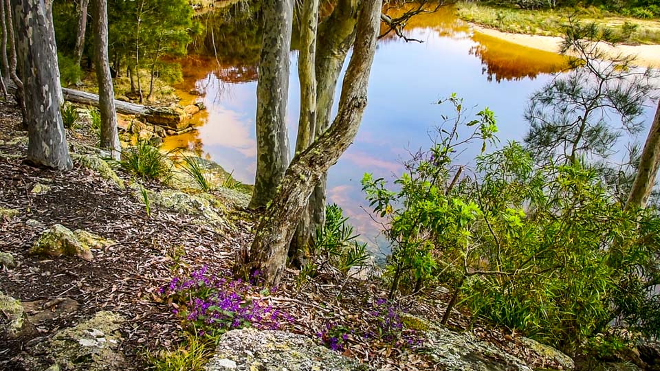 Willinga Point